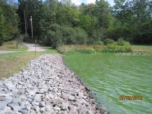 Pond Design Tanglewood pond