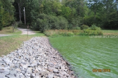 Tanglewood Pond Inspection